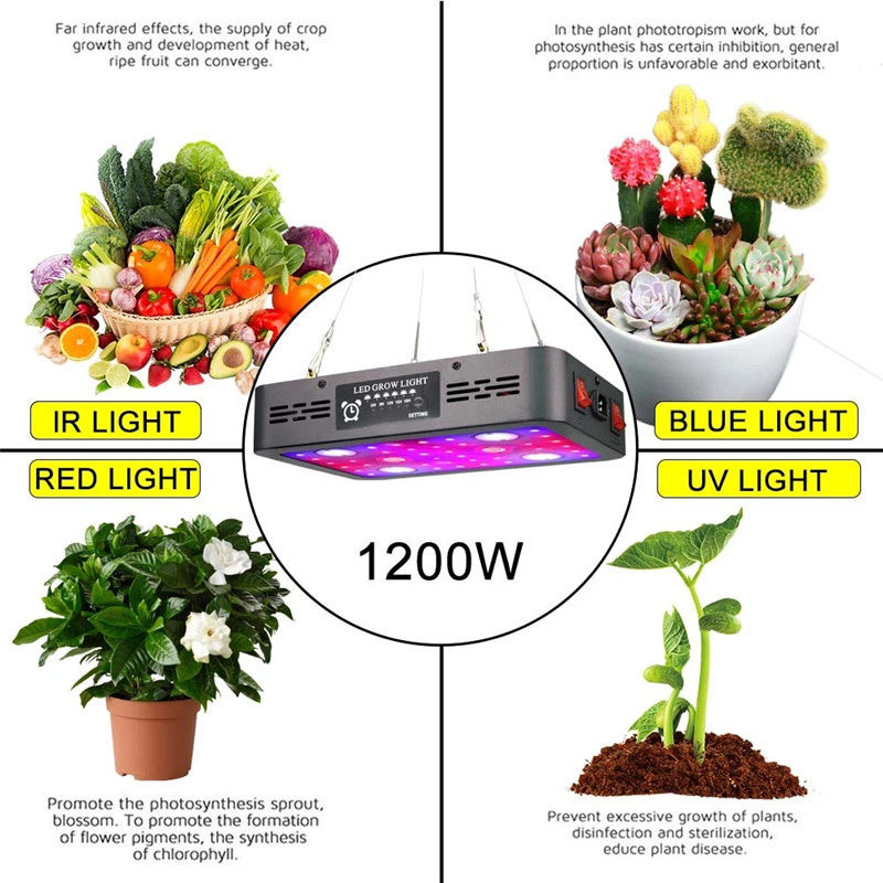 Angelila 3600W LED Grow Light for Indoor Plants Full Spectrum Seed Starting Seedlings Vegetable Pepper Hanging Growing Lamps with Daisy Chain Function and Quiet Built-In Fan